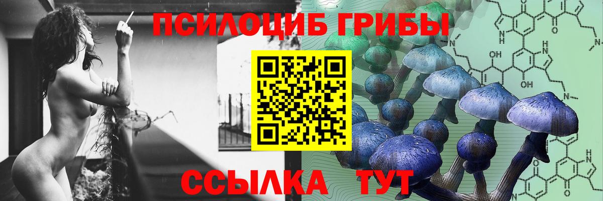 Галлюциногенные грибы прущие грибы  Вход с VPN  Братск 